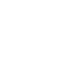 truck icon
